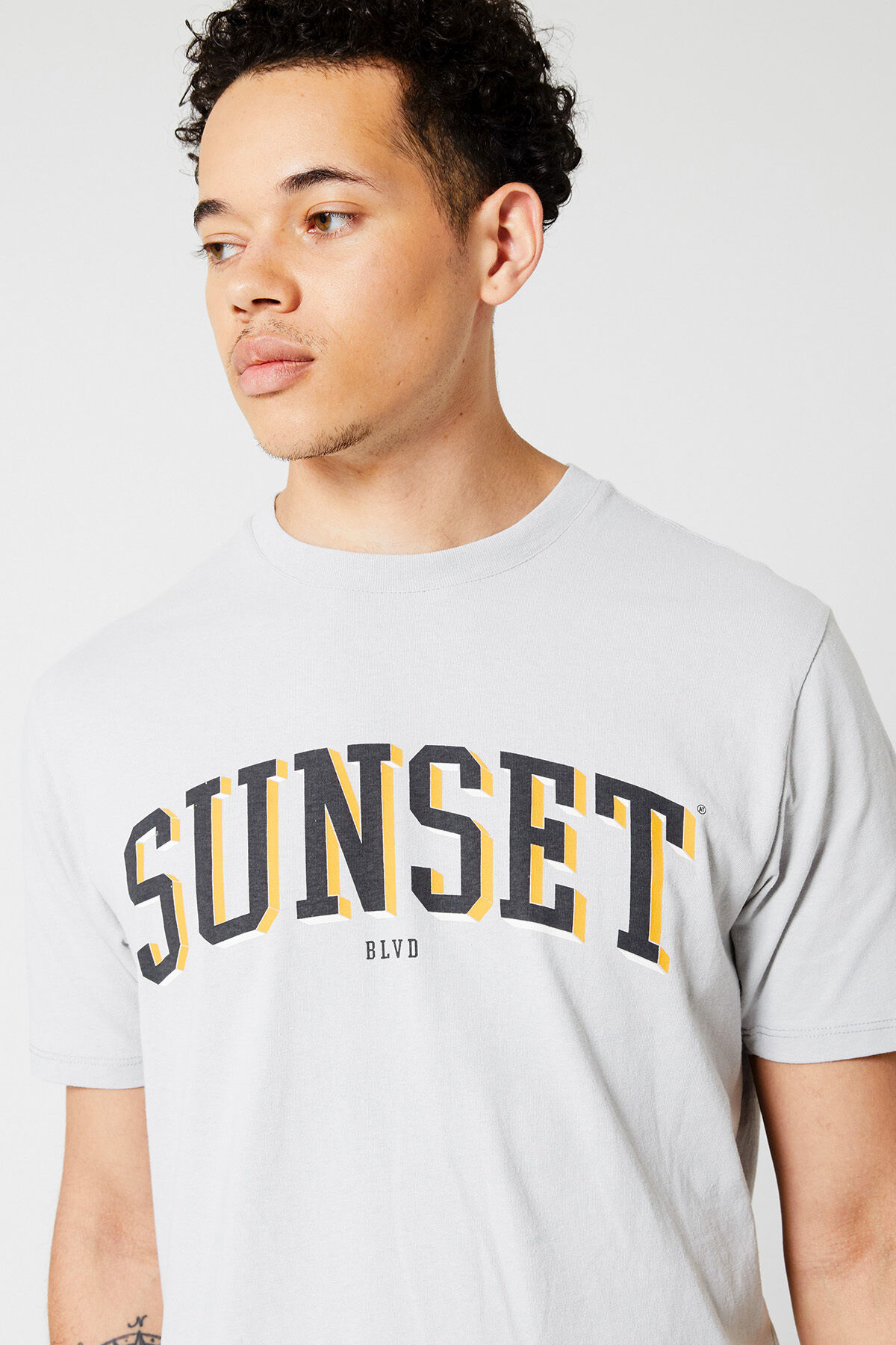 Eagle image number 3