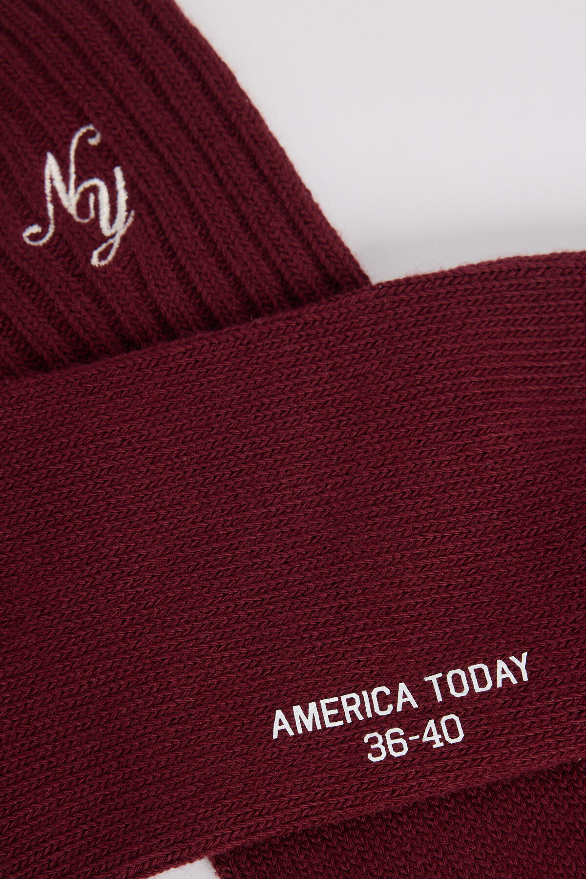 Tansy X image number 1