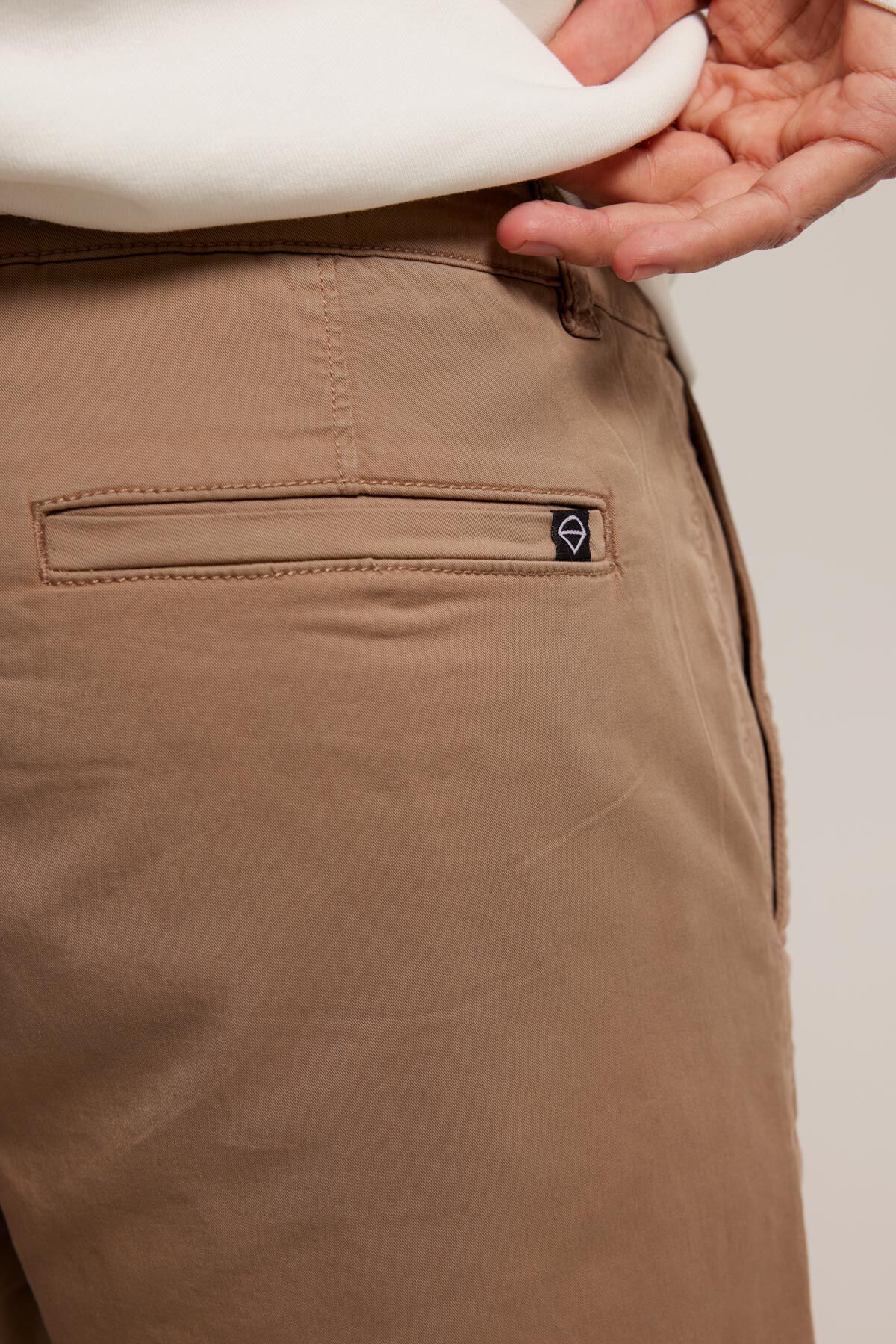 Short Stefan image number 3