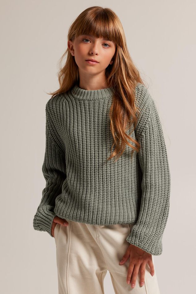 Jumper Kelly JR image number 1