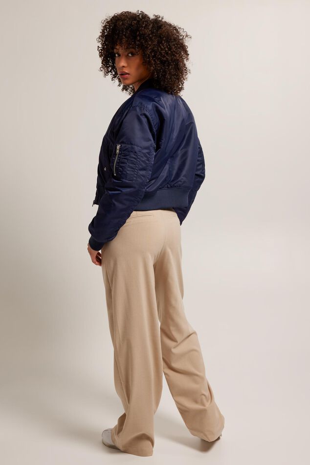 Pascal image number 2