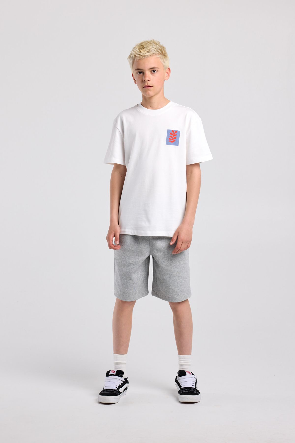 Eagle Jr image number 1