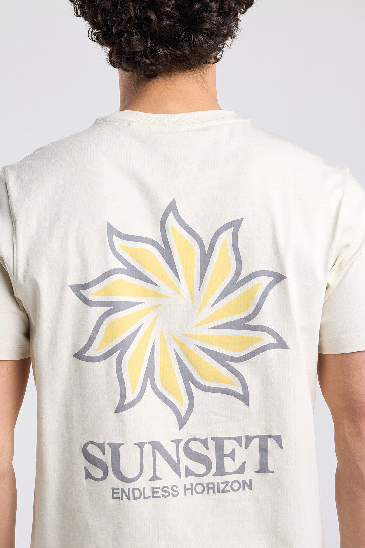 Edson image number 3