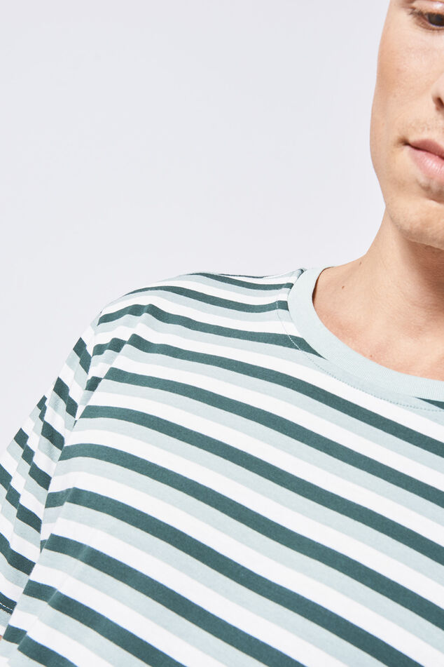 Elgin stripe image number 3