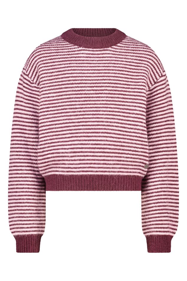 Kelly jr image number 4