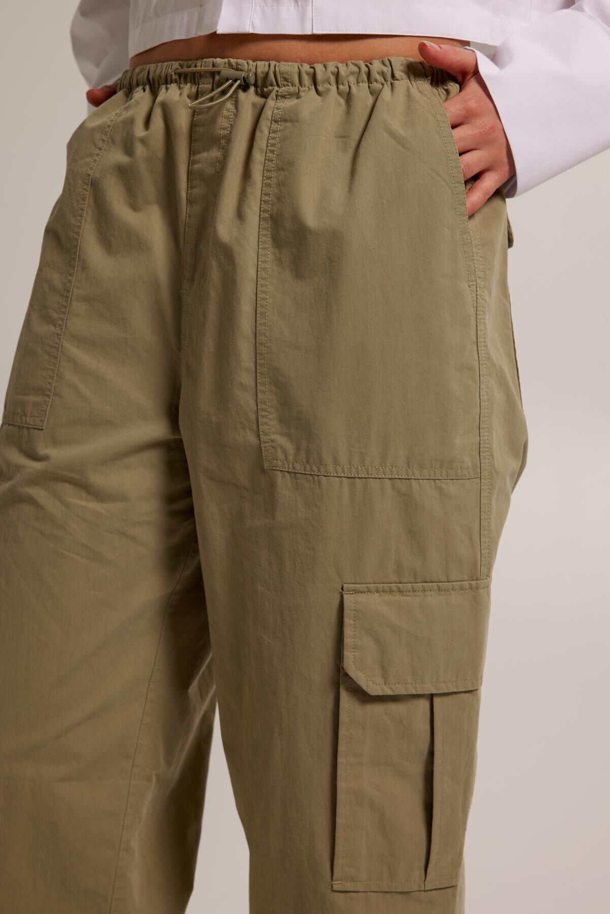 Polly image number 3