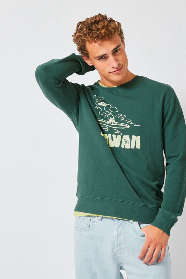Sweat Salvin Hawaii image number 1