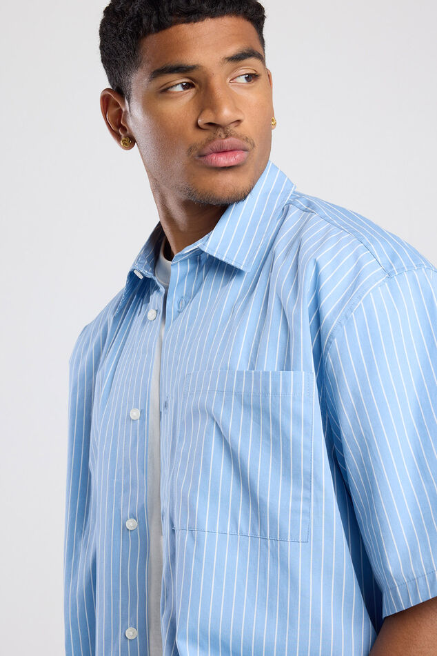 Irv image number 3