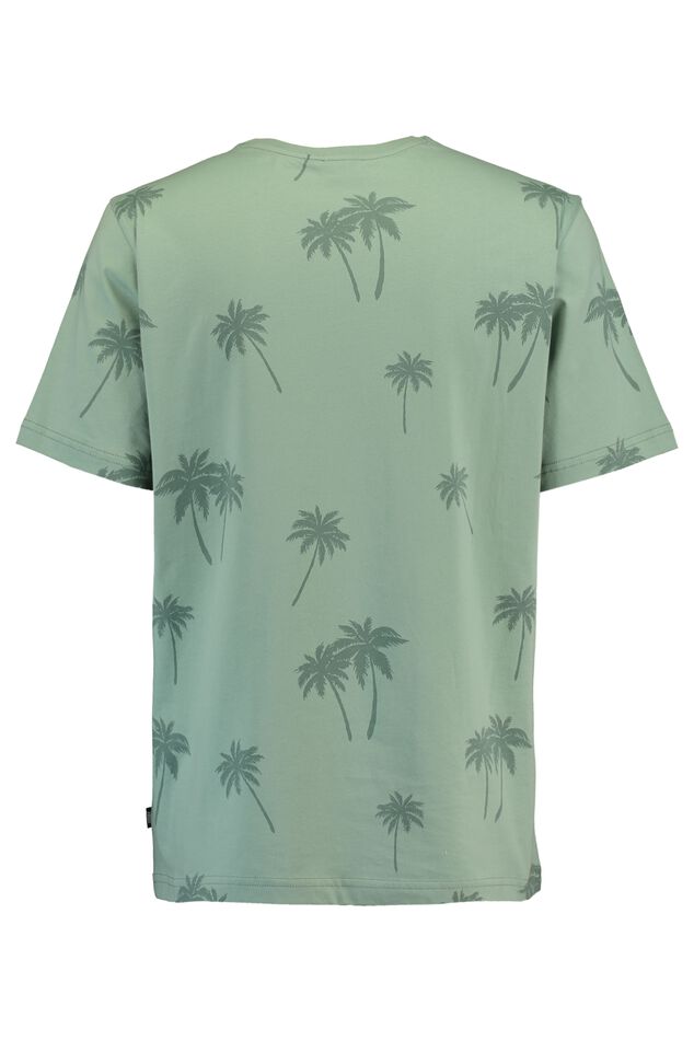 Emmanuel palm image number 1