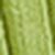 Cactus Cactus