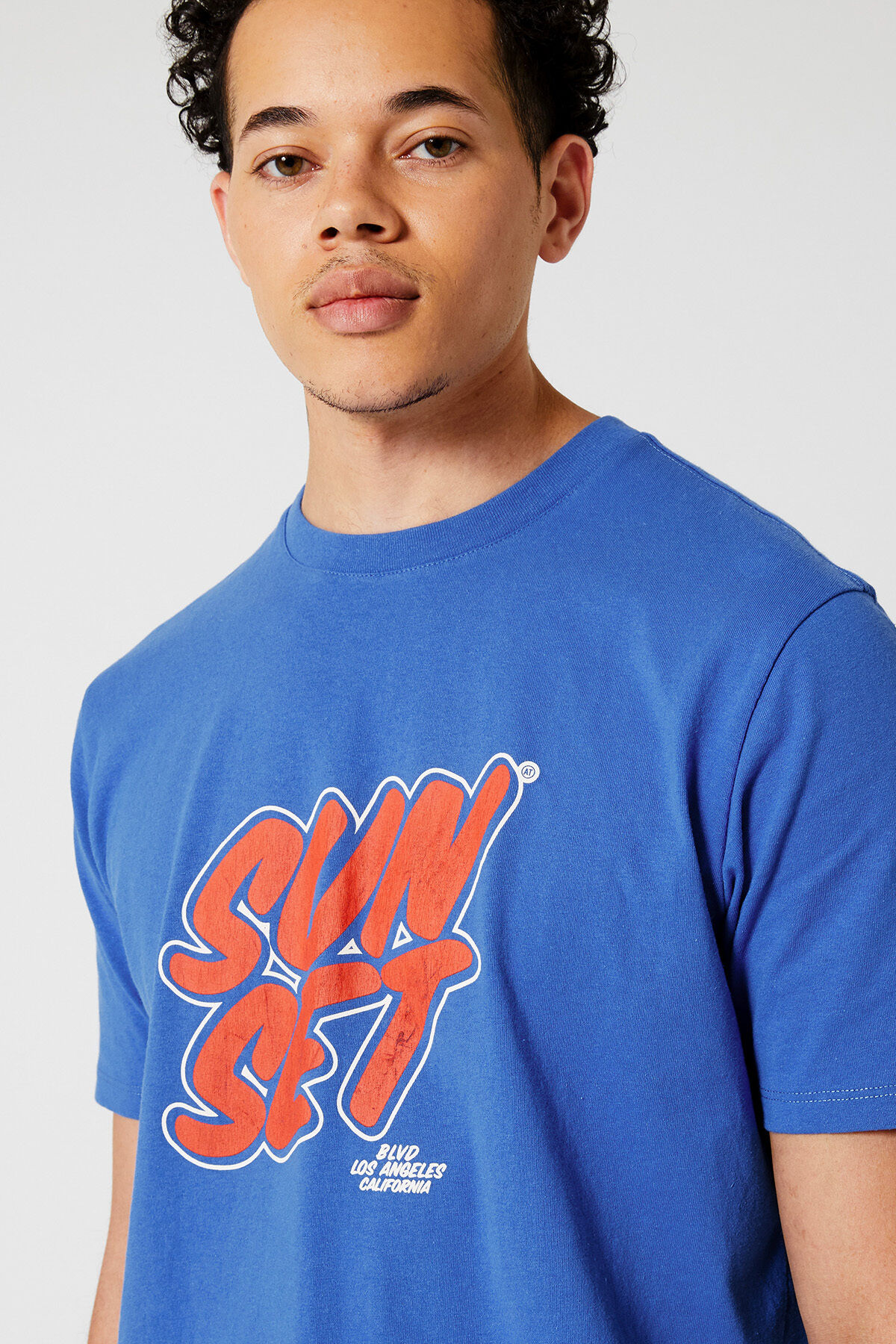 Eagle image number 3