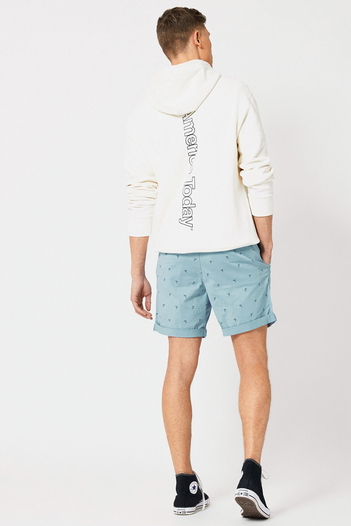 Short Stefan image number 2