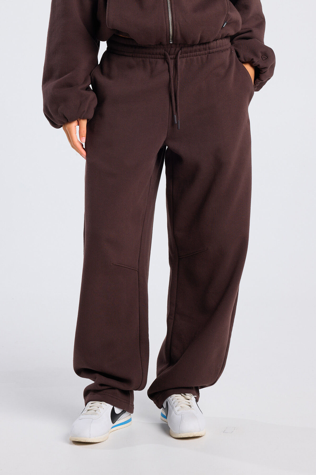 Camelia image number 0