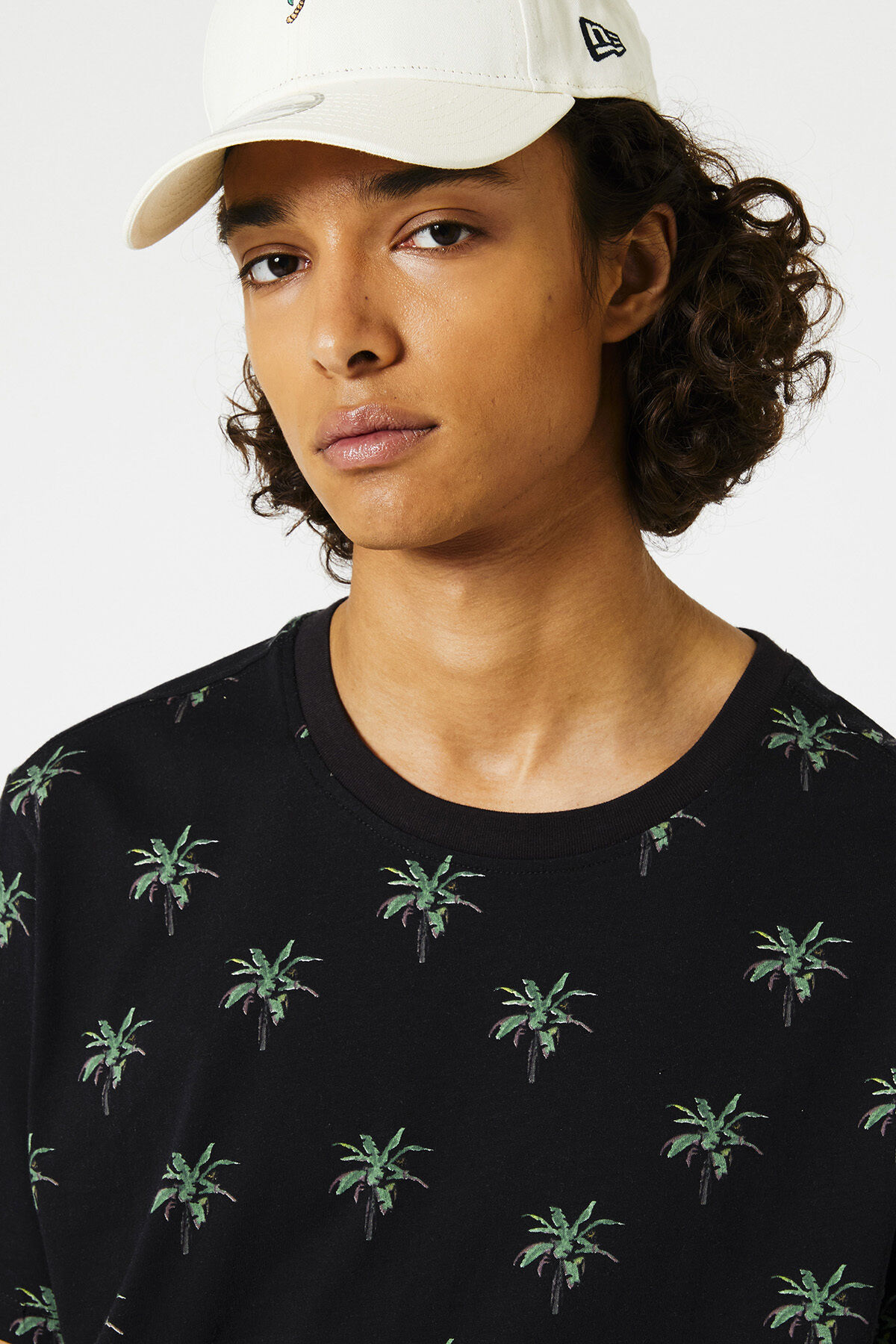 Elias Palm image number 3