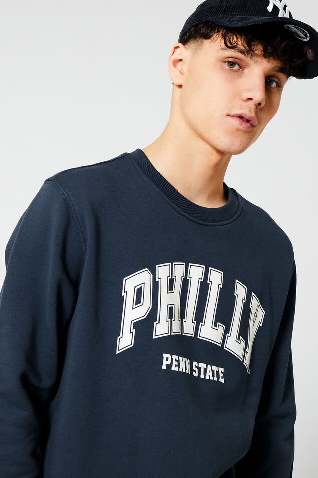 Sweater Scottie crew image number 3