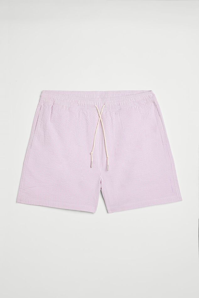 Swim trunks Andrew Stripe image number 4