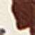 Brown/white Brown/white