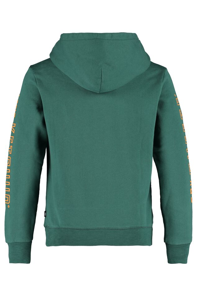 Hoodie Sage Jr image number 1