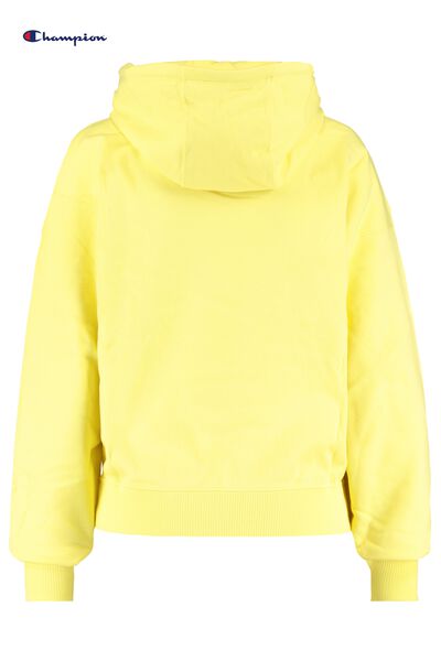 Search Results Champion Levi S Buy Online