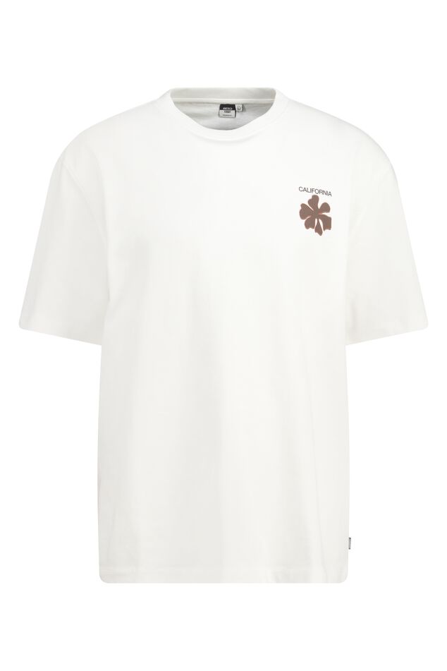 Erwyn image number 4