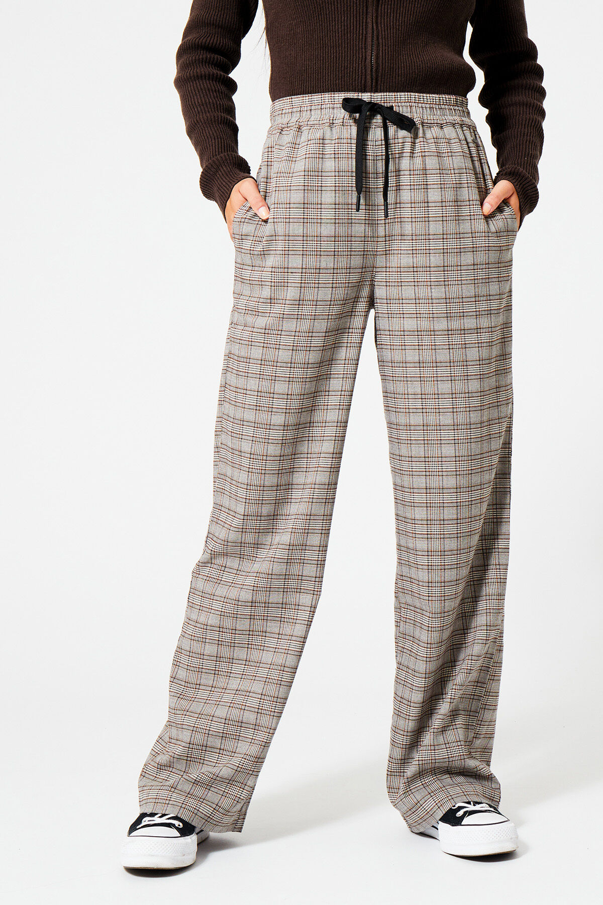 Polly image number 1