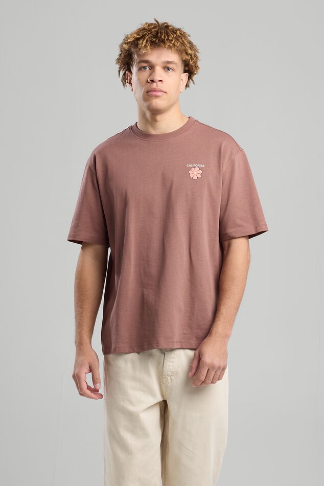 Erwyn image number 0