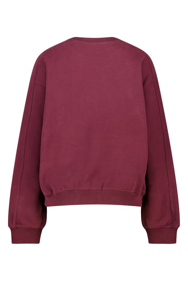 Sabijn image number 5