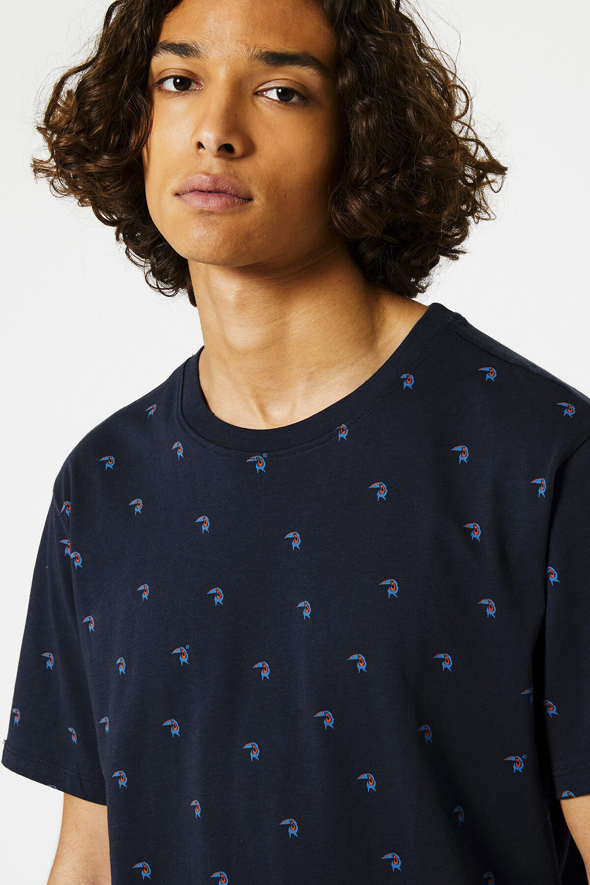 Elias Bird image number 3