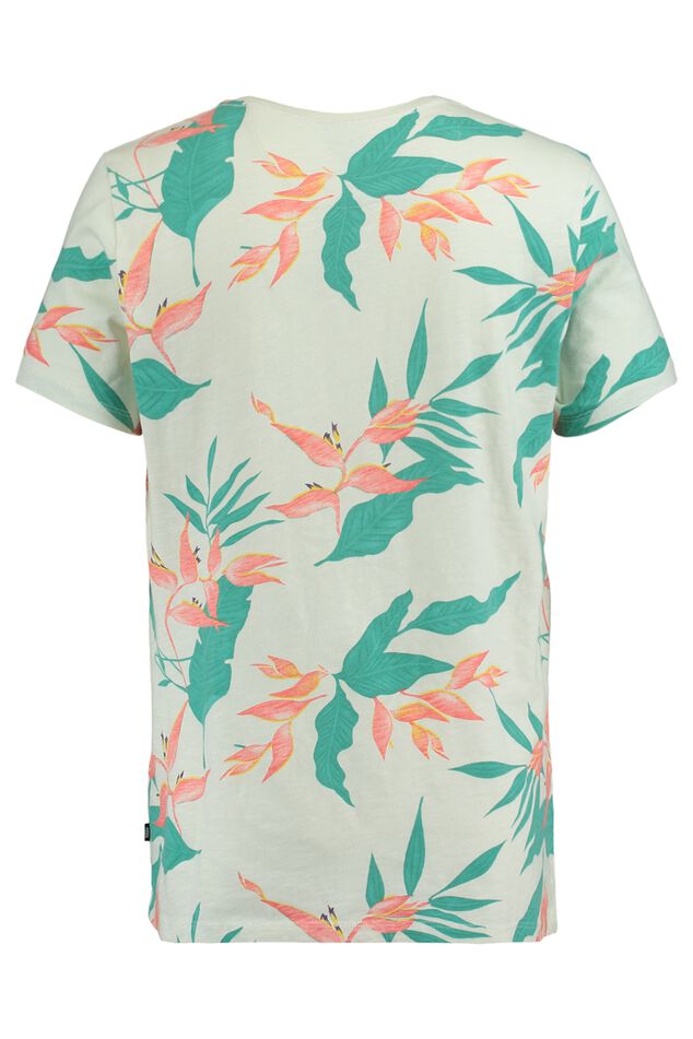 Elwin AOP image number 1