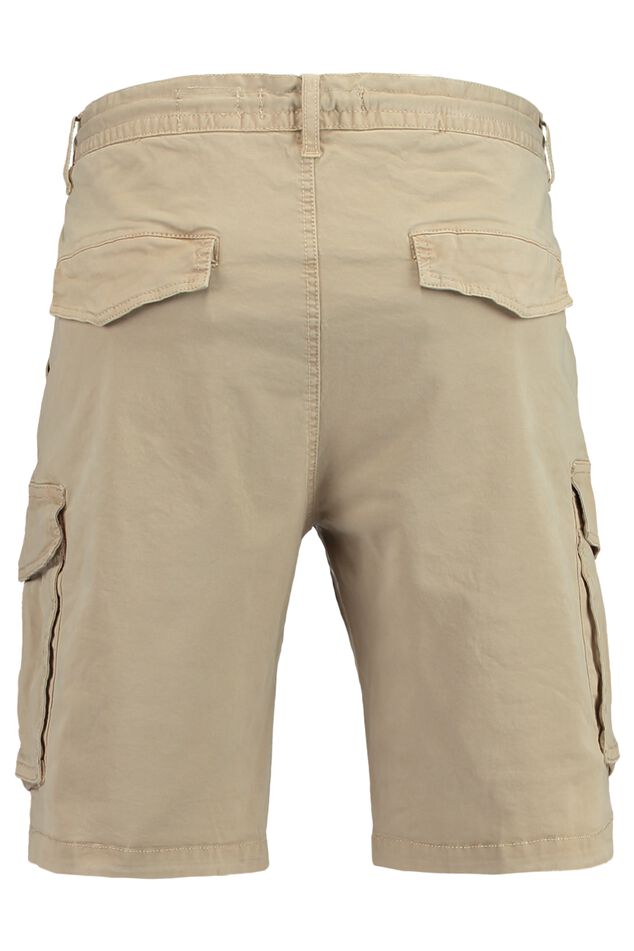 Short Nixon image number 1