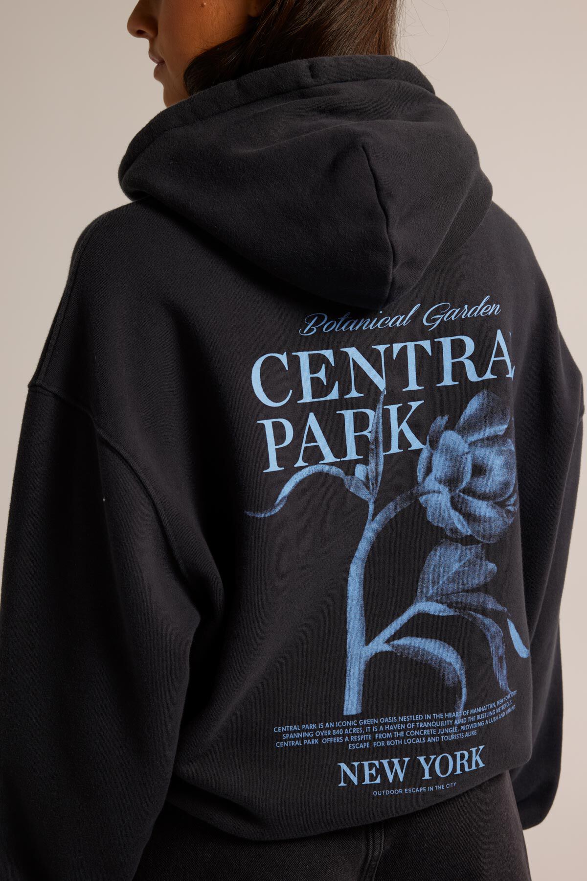 Sweat a capuche Sol image number 3