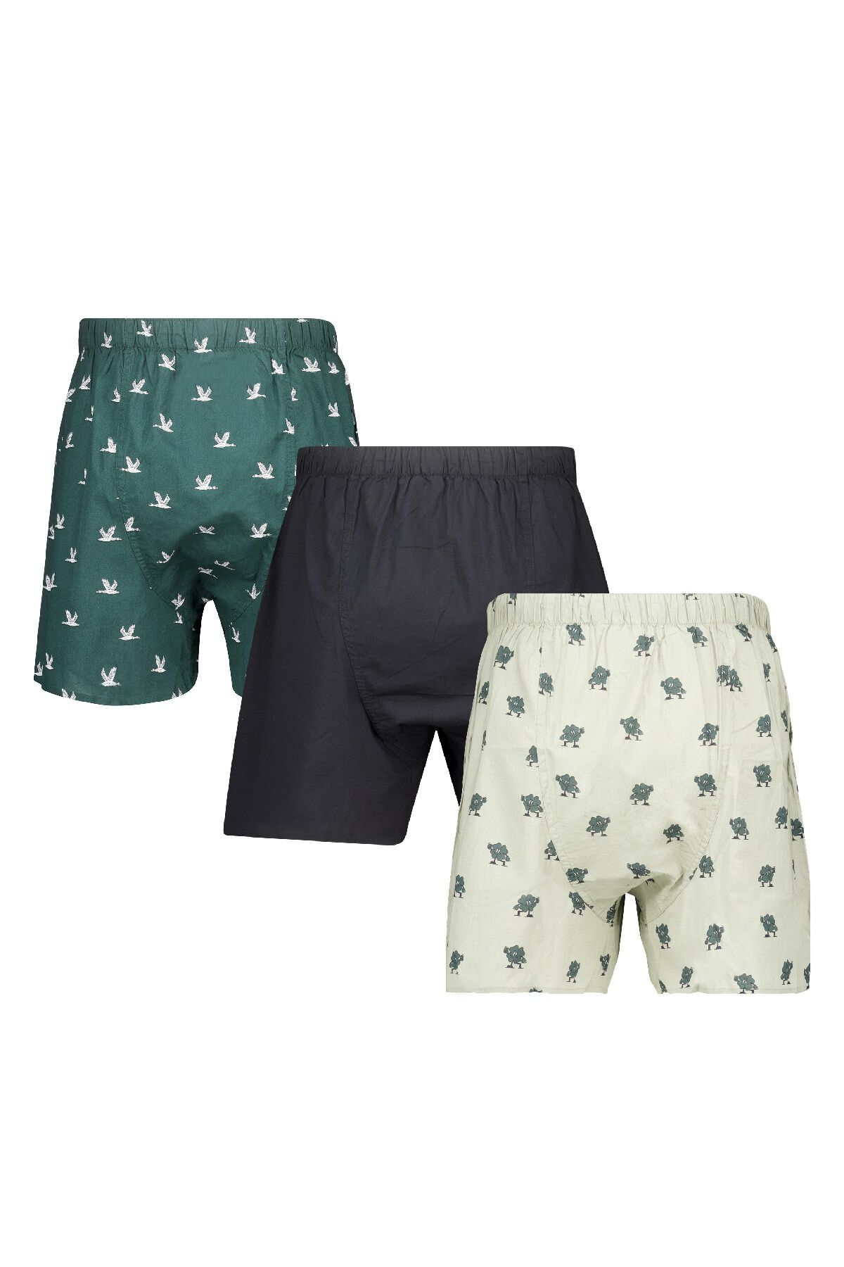 Thomas P 3P image number 1