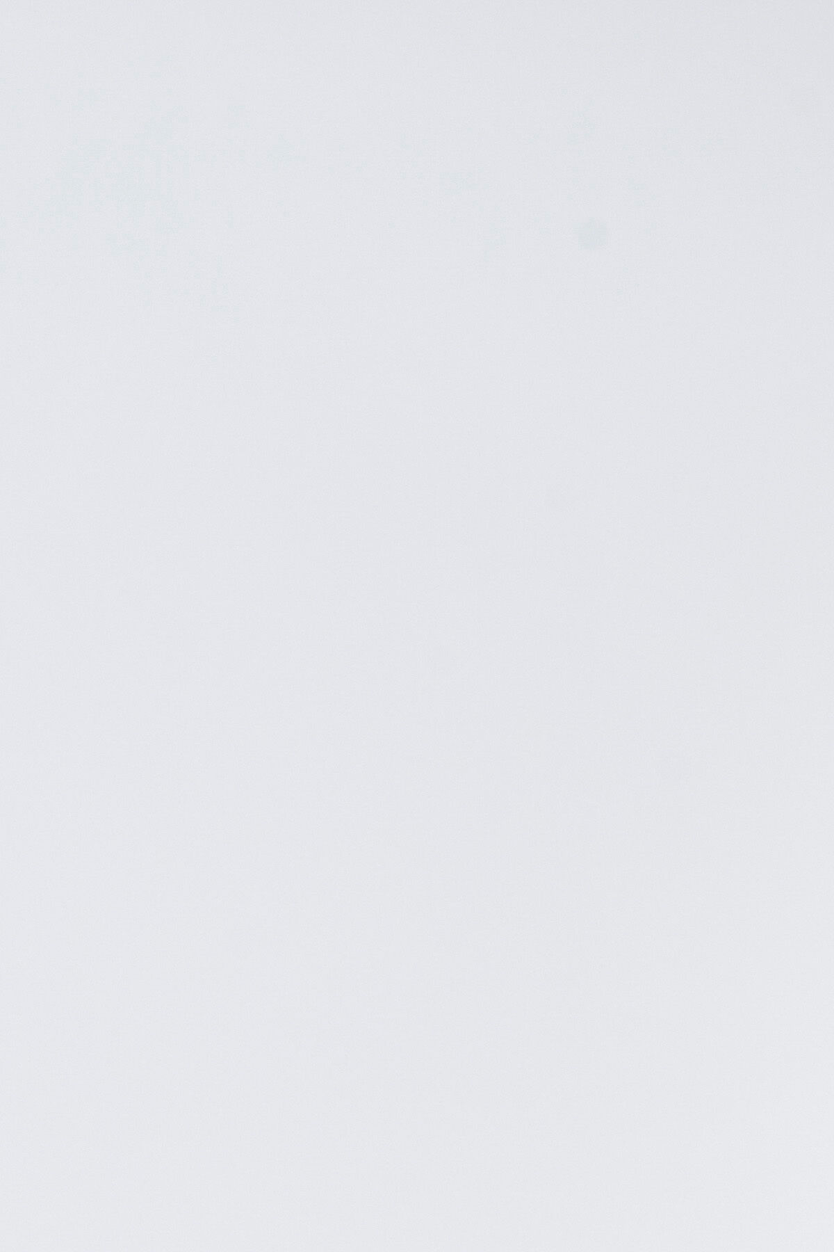 Hemd Haro image number 2