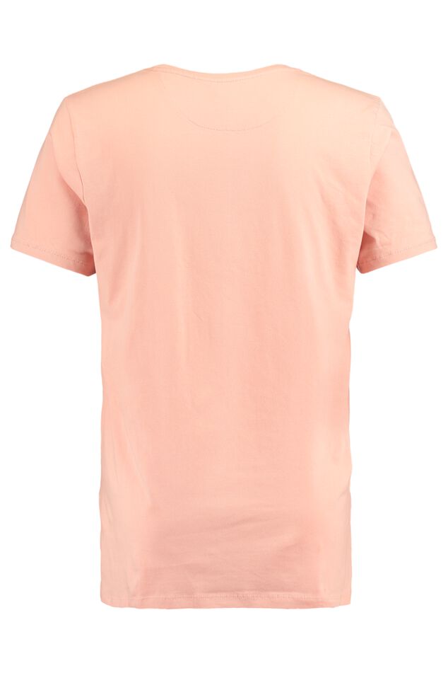 Ervin image number 1