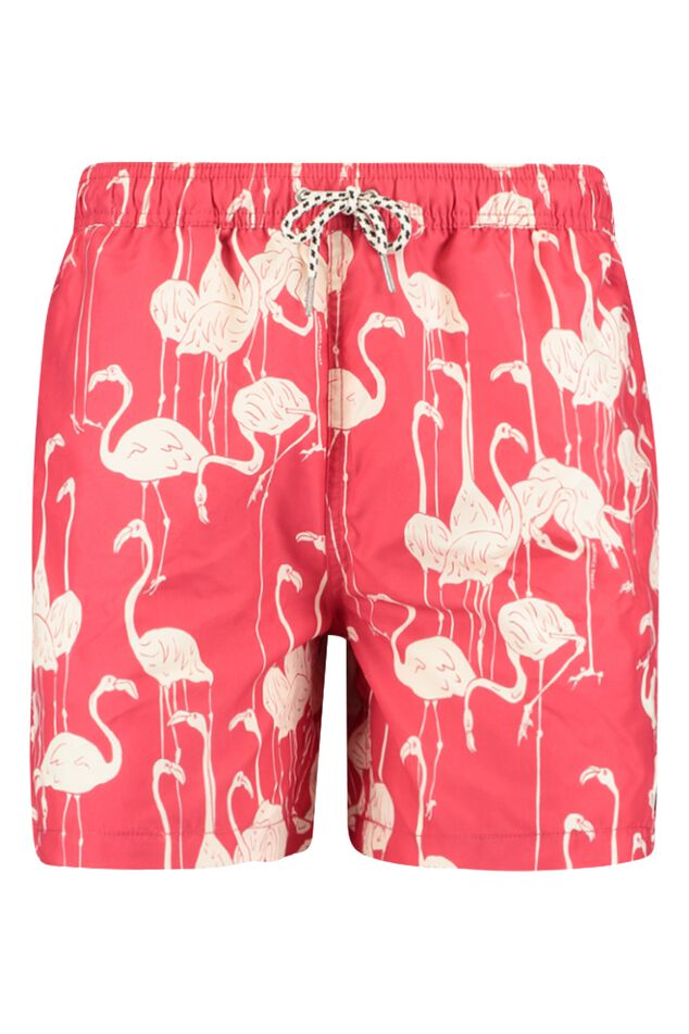 Swimming trunks Arizona AOP image number 4