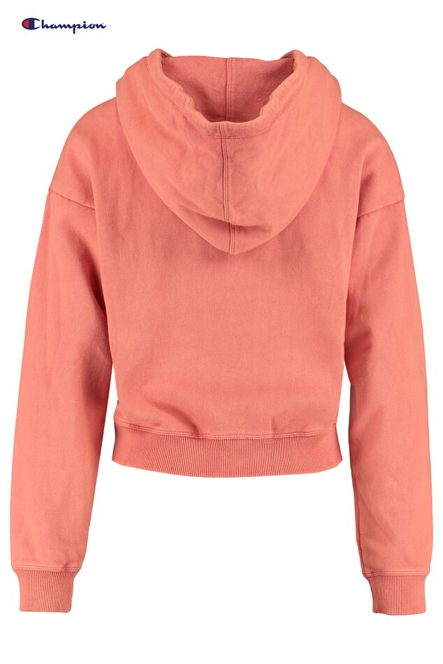 Hoodie Hoodie clean small Logo image number 1