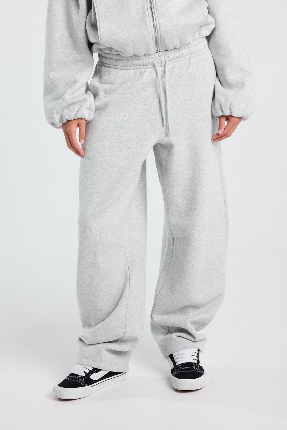 Camelia image number 0