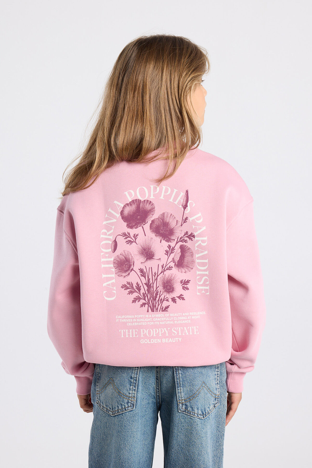 Sage jr image number 3