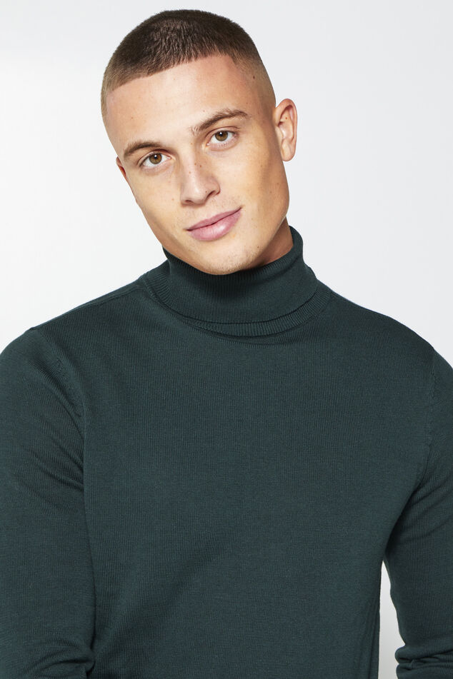 Rollkragenpullover Knox image number 3