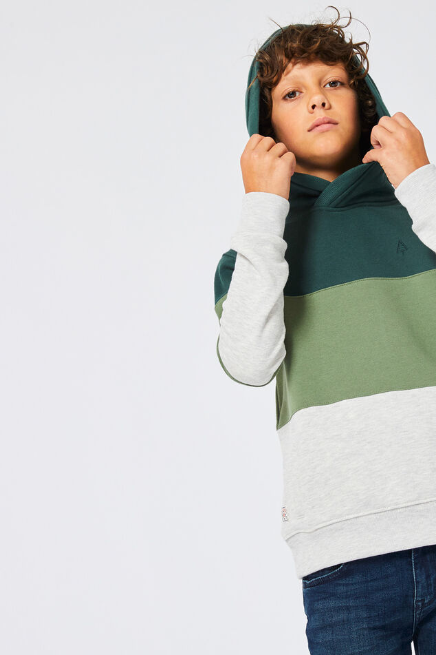 Hoodie Sean jr image number 0