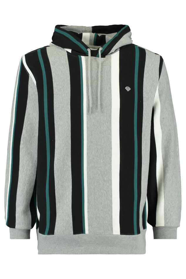 Hoodie Savion image number 0