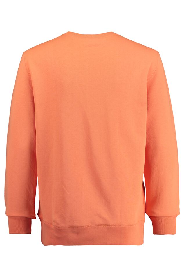 Sweater Story image number 5