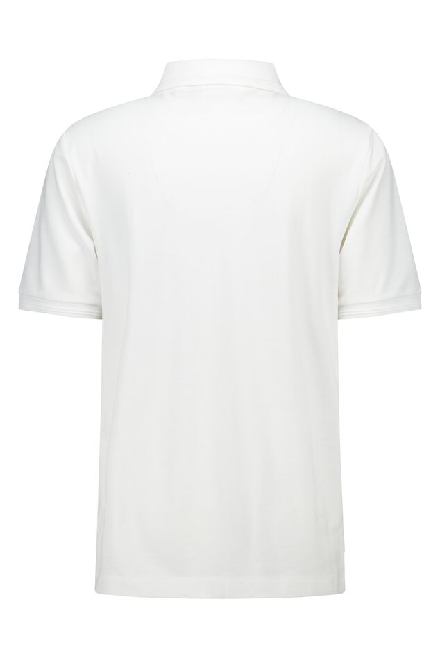 polo Eddy image number 5