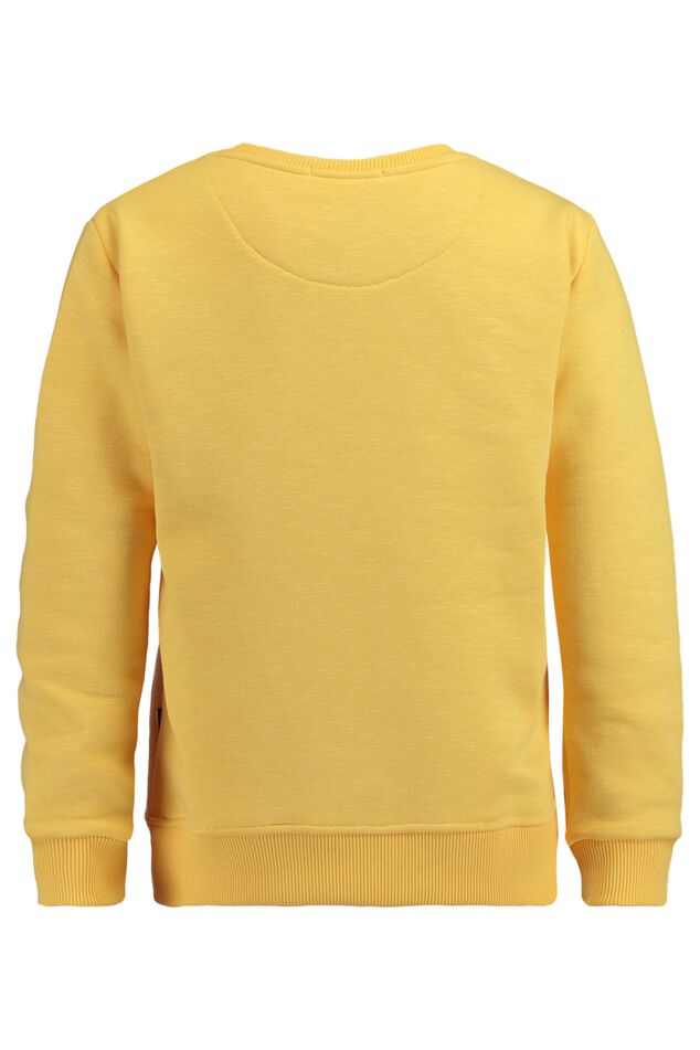 Sweater Semmy Jr. image number 1