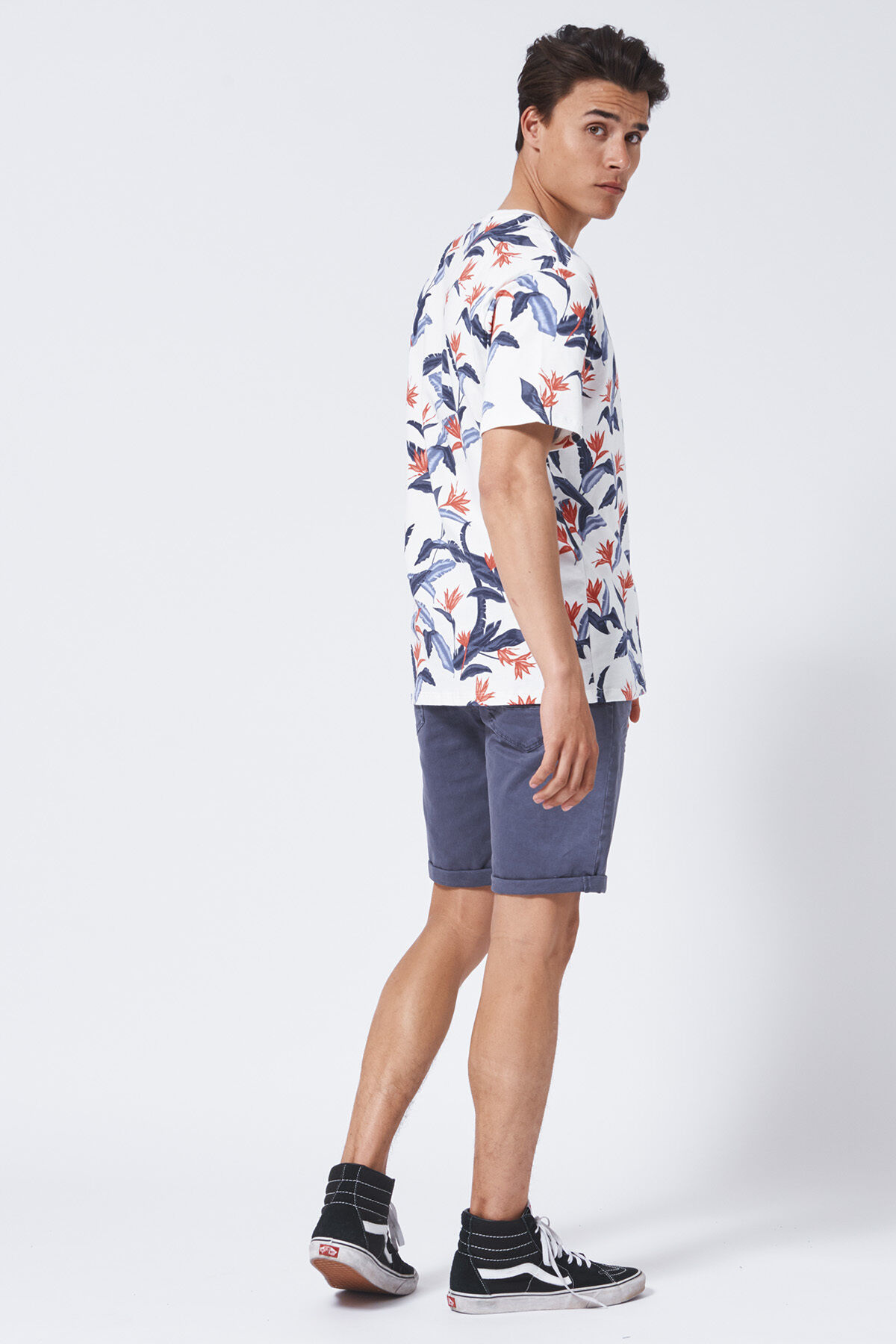 Short Norman image number 2