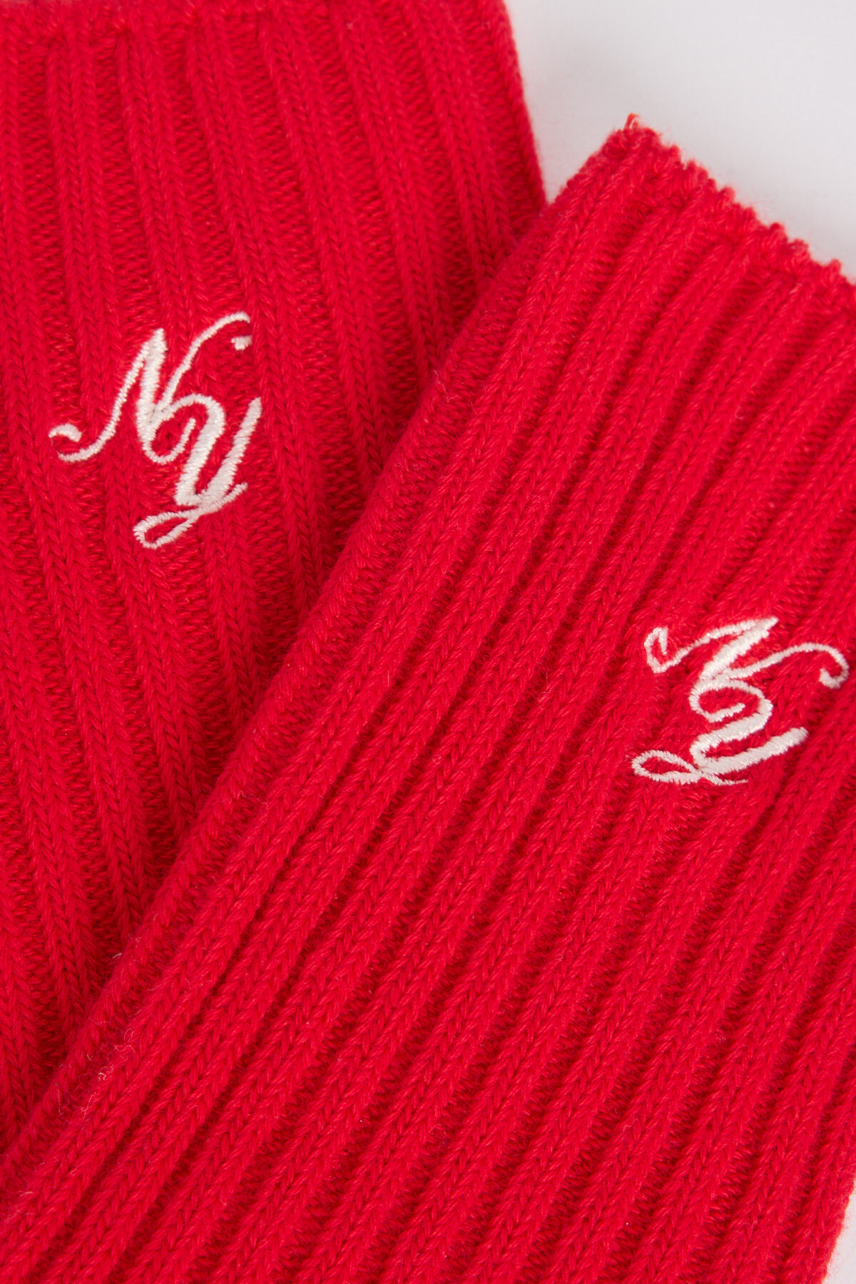 Tansy X image number 2