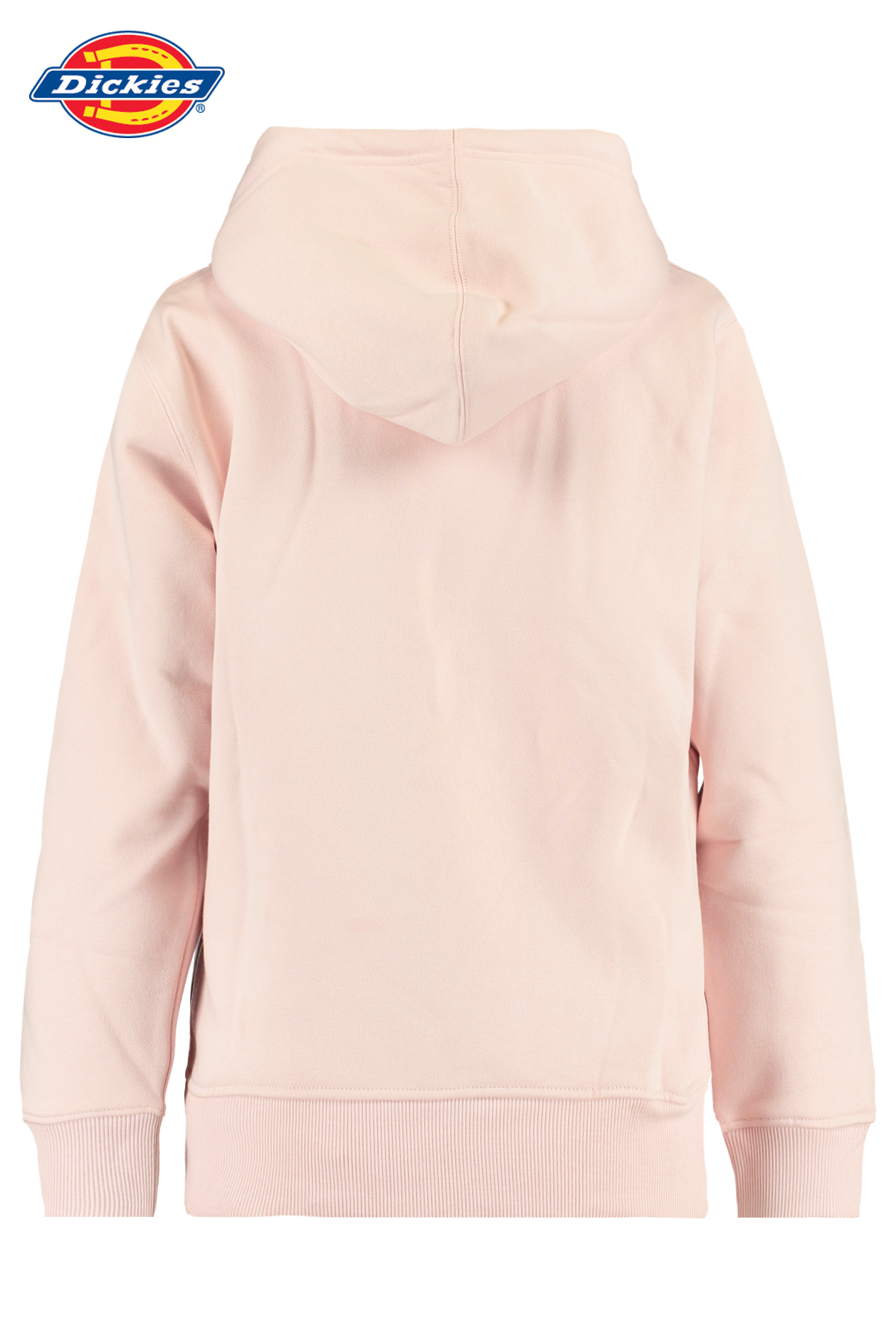 next champion hoodie