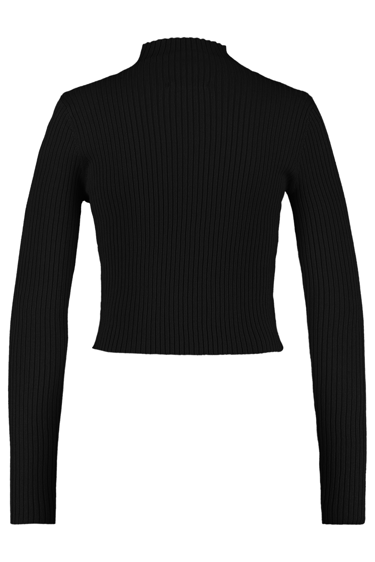売れ筋商品|||プラーナ カットソー トップス レディース Foundation Rib Turtleneck - Women's Black Heather LWTS1840_NOIR-F_c3132c1b-5cf6-