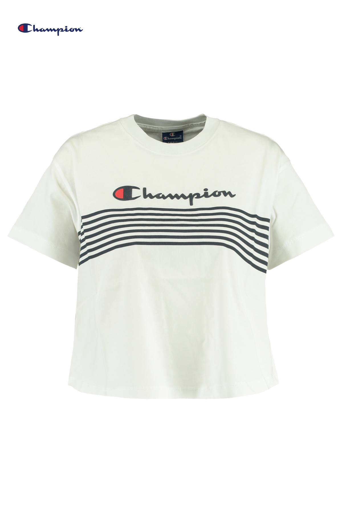 chandail champion