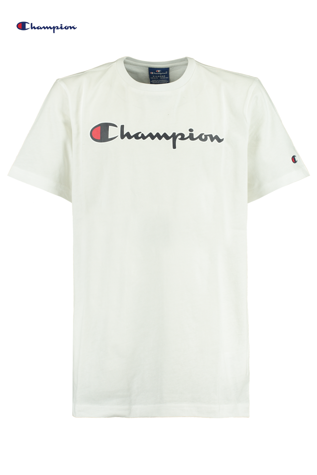 champion crewneck youth
